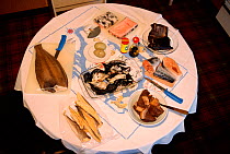 Table of traditional North Greenlandic foods:  Greenland Halibut, Mattaq (Narwhal skin), eider duck eggs, dried narwhal meat, Arctic char, boiled seal meat & dried polar cod, Thule, Northwest Greenlan...
