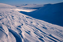 Sastrugi, wind carved patterns in the snow, on snow covered winter tundra. Chukotskiy Peninsula, Chukotka, Siberia, Russia.
