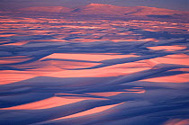 Sastrugi, wind carved patterns in the snow, on snow covered winter tundra at sunset. Chukotskiy Peninsula, Chukotka, Siberia, Russia.