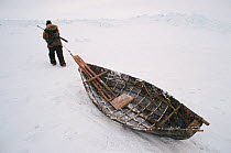 Chukchi hunter dragging Baidarka (Walrus skin boat) while hunting at the floe edge. Chukotka, Siberia, Russia