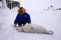 Chukchi boy pouring water into mouth of dead seal, a traditional sign of respect. Chukotka, Siberia, Russia.