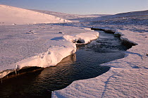 Geothermal stream flowing in winter near Lorino. Chukotka, Siberia, Russia.
