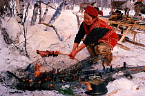 Evenk woman cooking Reindeer / Caribou meat over open fire. Evenkiya, Siberia, Russia, 1997.