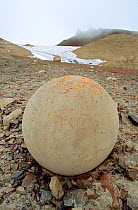 One of the remarkable spherical stones on Champ Island. Franz Josef Land, Russia, 2004.