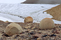 Spherical stones on Champ Island, with glacier beyond. Franz Josef Land, Russia, 2004.