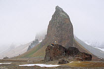 Spectacular rock formation at Cape Tegettoff on Hall Island. Franz Josef Land, Russia, 2004.