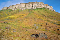 Towering bird cliffs of Cape Flora on Northbrook Island. Franz Josef Land, Russia, 2004.