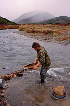 Geologist panning for platinum in stream near Latyrin-Vayam in Koryakia. Kamchatka, Siberia, Russia, 1999.