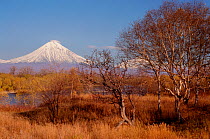 Avacha Volcano near Petropavlovsk in autumn. Kamchatka, Siberia, Russia, 1999.