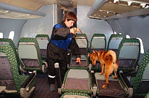 Dog handler with Domestic dog / Jackal cross, trained to detect explosives at Sheremetyevo Airport, Moscow, Russia, 2005.