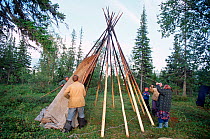 Sami family putting up Lavo (tent) at summer fishing camp near Lovozero. Kola Peninsula, Northwest Russia, 2005.