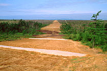 The landscape showing part of Sakhalin Energy's 800 km oil and gas buried pipeline route near Val. Sakhalin Island, Russian Far East, 2006.