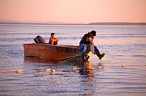 Nivkhi fisherman retrieving Chum salmon (Oncorhynchus keta) from net at sunset. Niva Bay, Sakhalin Island, Russian Far East, 2006.