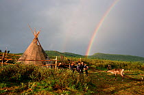 Rainbow over herders' camp, children and Reindeer / Caribou (Rangifer tarandus). Todzhu, Republic of Tuva, Siberia, Russia, 1998.