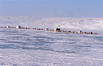 Dolgan Reindeer / Caribou (Rangifer tarandus) herders moving their camp of baloks (huts on sled runners) during winter. Taymyr, Northern Siberia, Russia, 2004