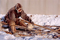 Dolgan reindeer / caribou herder using plane to make 'hooray' (pole for driving reindeer). Taymyr, Northern Siberia, Russia, 2004.