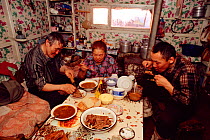 Dolgan family of reindeer / caribou herders having meal together inside their balok (moveable hut built on sled runners). Taymyr, Northern Siberia, Russia, 2004.