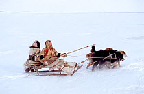 Nganasan elder driving sled pulled by Huskies (Canis familiaris) on the frozen Kheta River. Taymyr, Northern Siberia, Russia, 2004.
