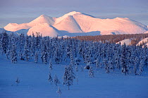 Mountains in the Verkhoyansk Range in winter near Batagay Alyta. Verkoyansk, Yakutia, Siberia, Russia, 1999.