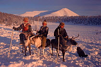 Even herders riding Reindeer / Caribou (Rangifer tarandus) at their winter pastures near Verkhoyansk. Yakutia, Siberia, Russia, 1999