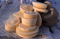 Cows milk stored in frozen blocks during the winter at Verkhoyansk. Yakutia, Siberia, Russia, 1999.