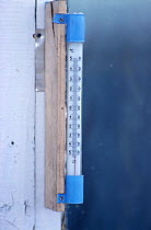 Thermometer showing reading of -52 degrees celsius at Verkhoyansk. Yakutia, Siberia, Russia, 1999.