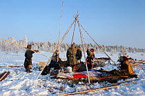 Forest Nenets and Khanty herders building camp near Numto. Khanty Mansiysk, Western Siberia, Russia, 2000.