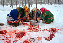 Khanty and Forest Nenets women eating raw Reindeer / Caribou (Rangifer tarandus) meat. Numto, Khanty Mansiysk, Western Siberia, Russia, 2000.