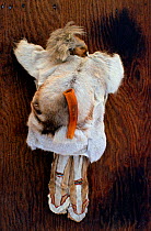 Nenets idol, representing the spirit of the owner's grandfather, and helping to protect the family. Gydan Peninsula, Western Siberia, Russia, 2000.