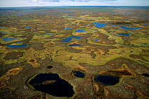 Aerial view of summer tundra near Nadym in the Yamal. Western Siberia, Russia, 2000.