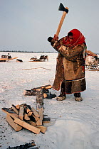 Nenets woman chopping wood with axe at Reindeer / Caribou herders' winter camp. Yamal, Siberia, Russia, 1993.