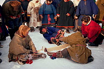 Nenets Reindeer / Caribou herders competing in strength contest during local festival. Yamal, Siberia, Russia, 1993.