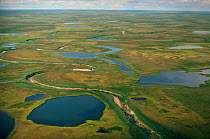 Meandering river and tundra lakes in the short arctic summer. Yamal, Siberia, Russia, 1993.