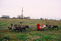 Nenets girl driving Reindeer / Caribou (Rangifer tarandus) sled past drilling rig in Gazprom's Bovanenkovo field. Yamal, Western Siberia, Russia, 1993.