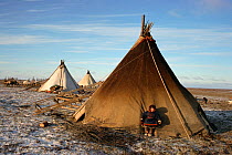 Nenets boy resting against the wall of a tent at herders' camp on the Yamal Peninsula. Western Siberia, Russia, 2001.