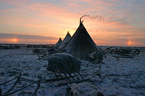 Sundog / Parhelion (circle of light around the sun),  on either side of herders' camp on the tundra. Yamal Peninsula, Western Siberia, Russia, 2001.