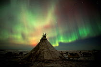 Northern lights (Aurora borealis) over a Nenets herders' camp. Yamal Peninsula, Western Siberia, Russia, 2001.