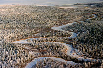 Aerial view of boreal forest and newly frozen river in autumn. Yamal, Western Siberia, Russia, 2001
