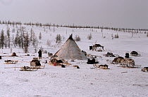 Komy Reindeer / Caribou herders camp on the Nadym Tundra. Yamal, Western Siberia, Russia, 2003.