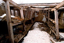 Remains of barrack building with prisoners' sleeping platforms at the Kinzhalnyi Stalin Camp near Salekhard. Yamal, Western Siberia, Russia, 2003.