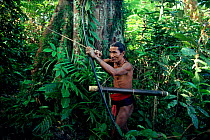 A Mentawai medicine man hunting in the rainforest with bow and arrow. Siberut Island, Indonesia, 1993.