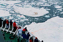 Tourists on icebreaker "Professor Multanovskiy" watching Polar bear (Ursus maritimus) in pack ice. Svalbard, Norway, 2004.