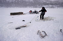 Inuit hunter hauling net set under the ice to catch Arctic charr (Salvelinus alpinus). George River, North Quebec, Nunavik, Canada, 1998.