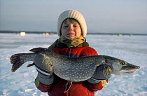 Boy holding Northern Pike (Esox lucius) caught while ice fishing. Mille Lacs Lake, Minnesota, USA, 1985.