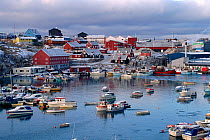 Harbour at Ilulissat with boats and brightly coloured houses. Jakobshavn, West Greenland, 1995.