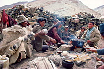 Yak herders cooking meal over open fire at their camp, Ladakh, India, 1986.