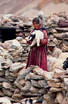 Yak herder's daughter with Goat kid (Capra hircus). Nimaling Plateau, Ladakh, India, 1986.