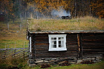 Wood building with grass roof, Forollhogna National Park, Norway, September 2008