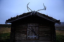 Small wood building with reindeer antlers over door, Forollhogna National Park, Norway, September 2008