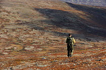 .Rear view of person walking with backpack in Forollhogna National Park, Norway, September 2008